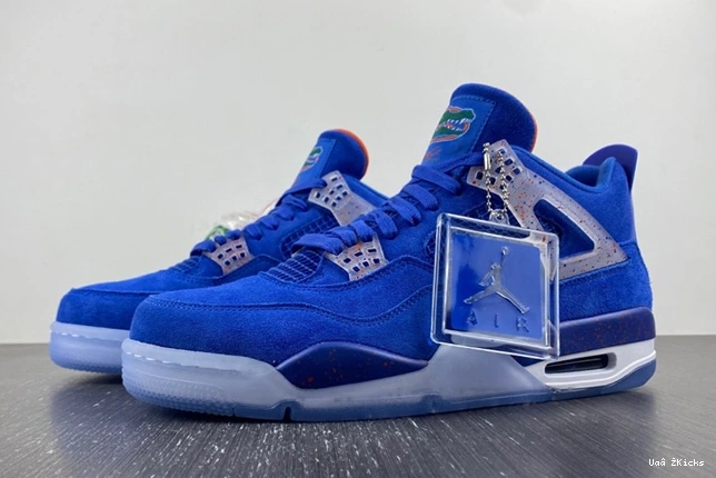 ModernLook Retro Jordan AJ4-1032111 4 491 0613